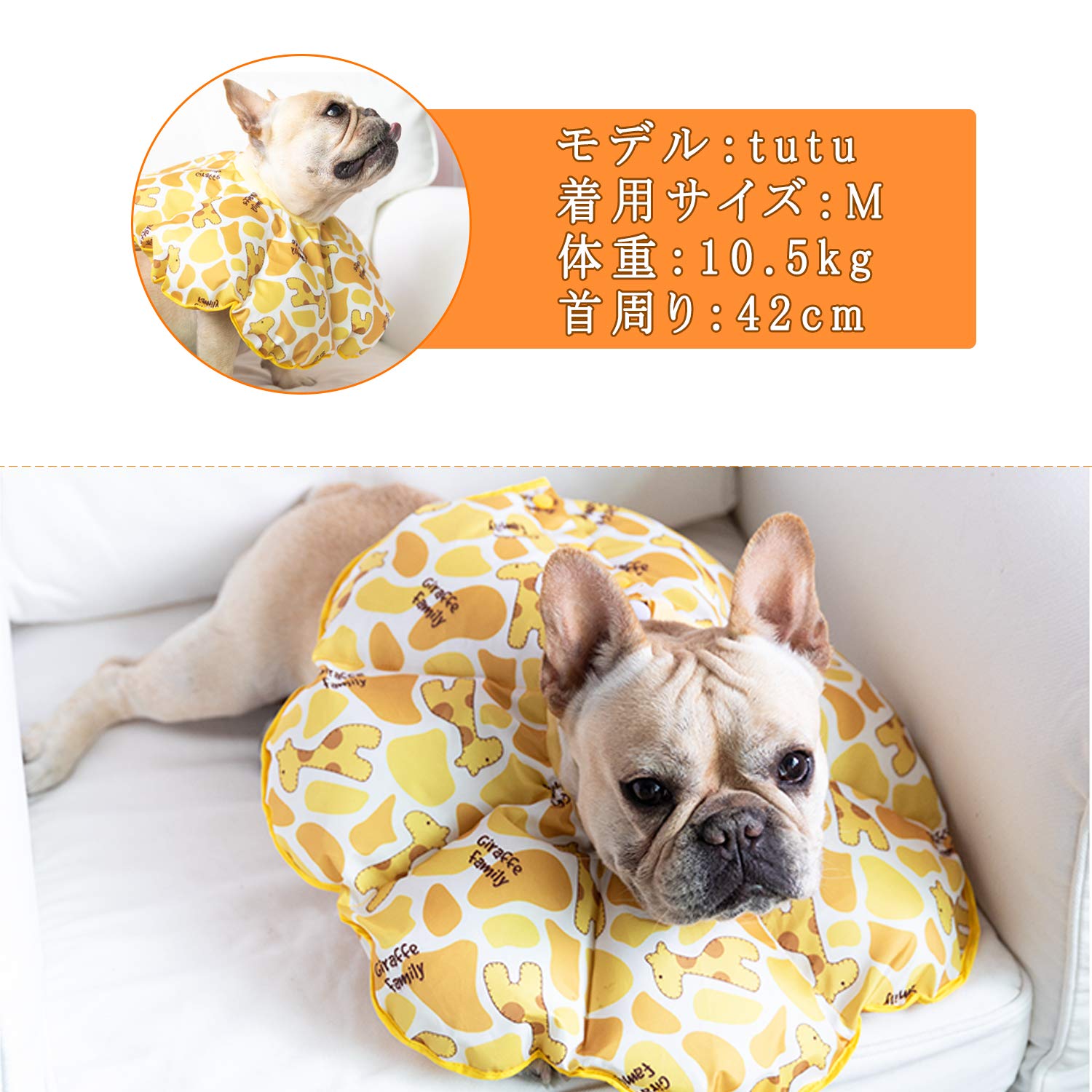 Amazon | YJHome エリザベスカラー 猫用 犬用 ペット用品 首周り31